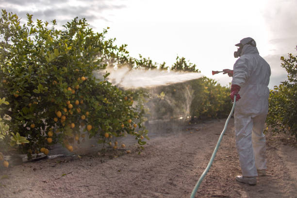 Best Residential Pest Control  in Avonia, PA
