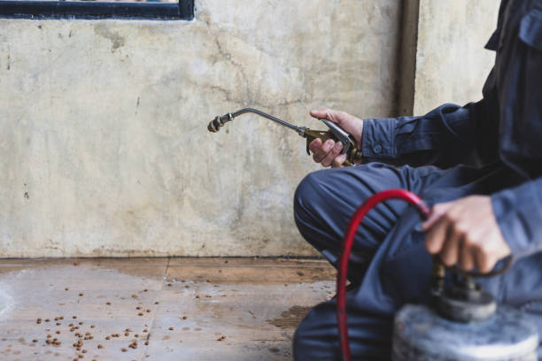 Best Local Pest Control Services  in Avonia, PA