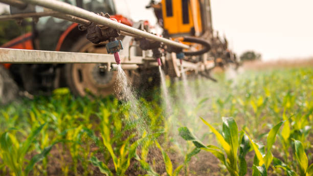 Reliable Avonia, PA Pest Control Solutions
